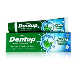 Dentup Toothpaste Neem 100g x 12